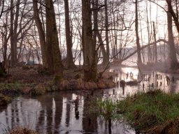 IMGP4307-Dis-over-baekken